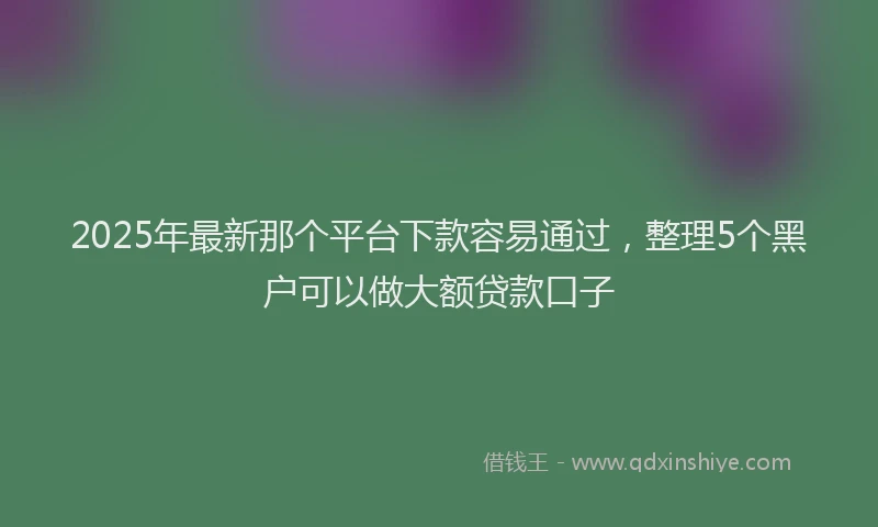 2025年最新那个平台下款容易通过，整理5个黑户可以做大额贷款口子