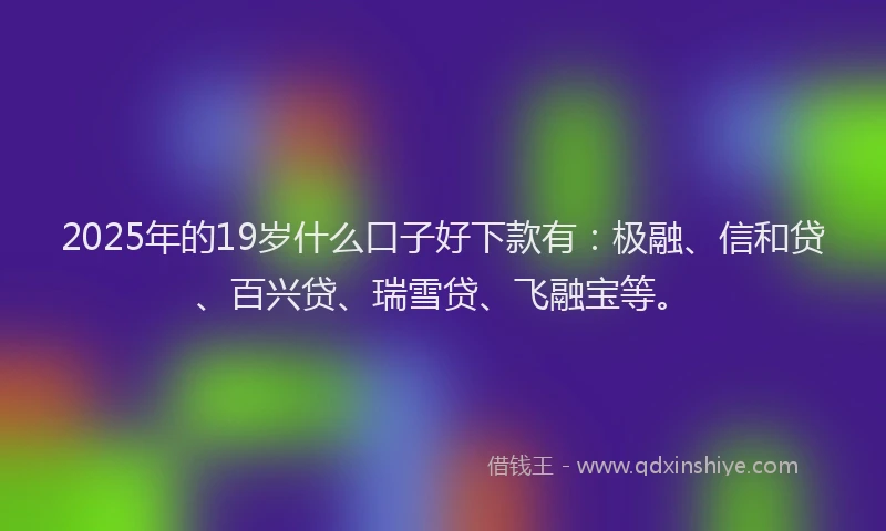 2025年的19岁什么口子好下款有：极融、信和贷、百兴贷、瑞雪贷、飞融宝等。
