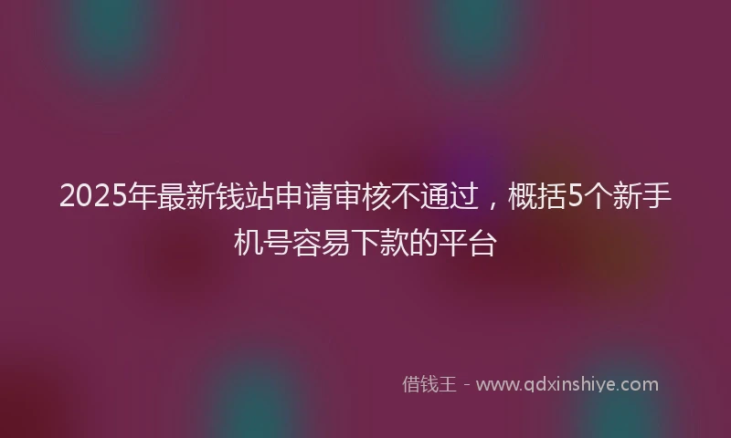 2025年最新钱站申请审核不通过，概括5个新手机号容易下款的平台