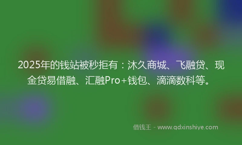 2025年的钱站被秒拒有：沐久商城、飞融贷、现金贷易借融、汇融Pro+钱包、滴滴数科等。