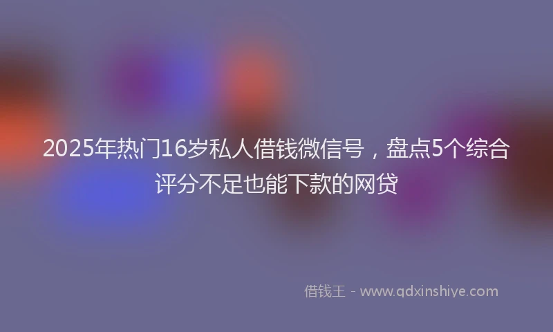 2025年热门16岁私人借钱微信号，盘点5个综合评分不足也能下款的网贷