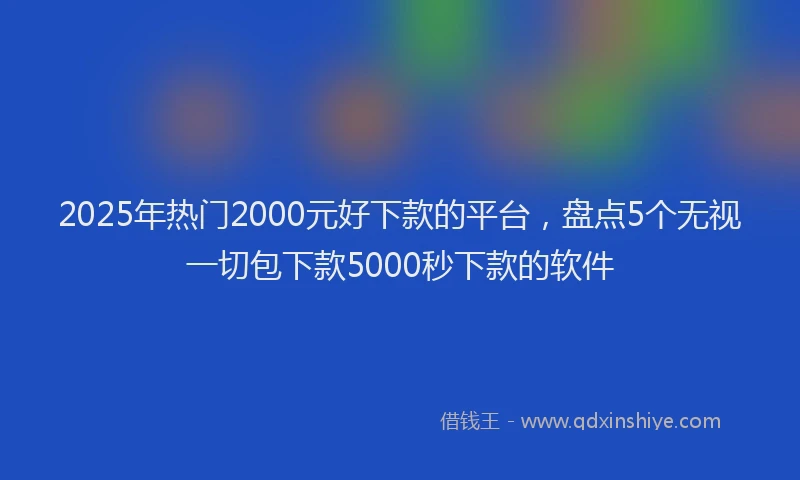 2025年热门2000元好下款的平台，盘点5个无视一切包下款5000秒下款的软件
