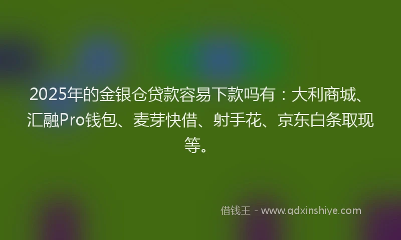 2025年的金银仓贷款容易下款吗有：大利商城、汇融Pro钱包、麦芽快借、射手花、京东白条取现等。