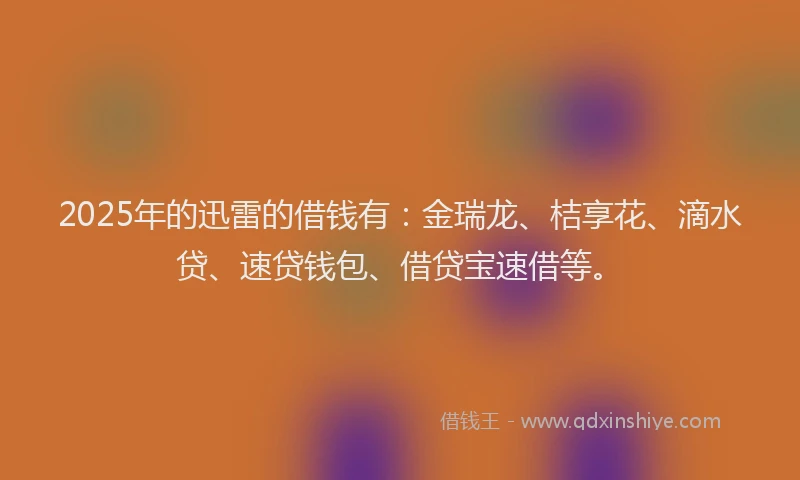 2025年的迅雷的借钱有：金瑞龙、桔享花、滴水贷、速贷钱包、借贷宝速借等。