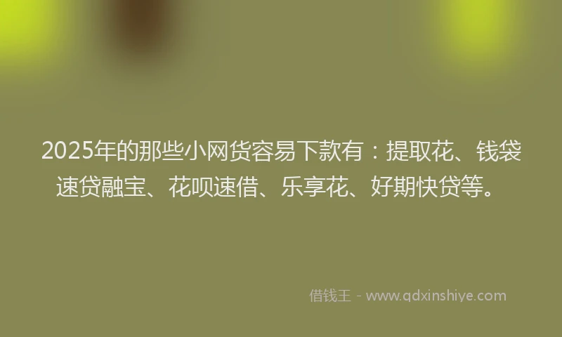 2025年的那些小网货容易下款有：提取花、钱袋速贷融宝、花呗速借、乐享花、好期快贷等。