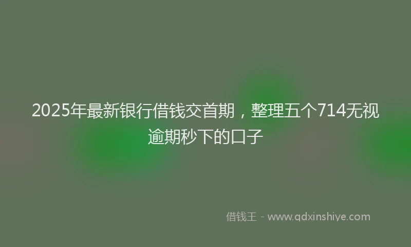 2025年最新银行借钱交首期，整理五个714无视逾期秒下的口子