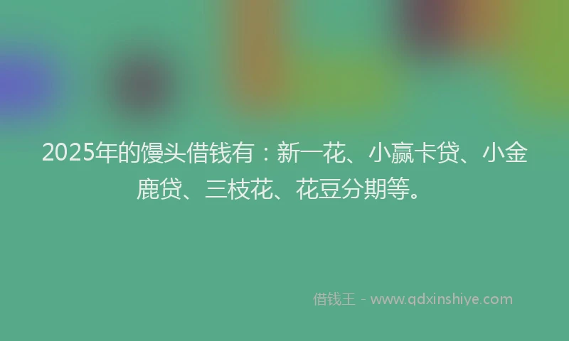 2025年的馒头借钱有：新一花、小赢卡贷、小金鹿贷、三枝花、花豆分期等。