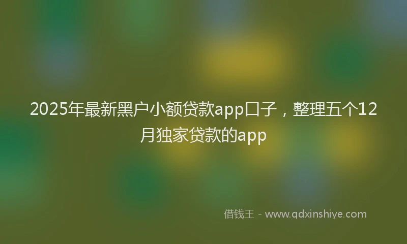 2025年最新黑户小额贷款app口子，整理五个12月独家贷款的app