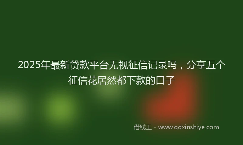 2025年最新贷款平台无视征信记录吗，分享五个征信花居然都下款的口子