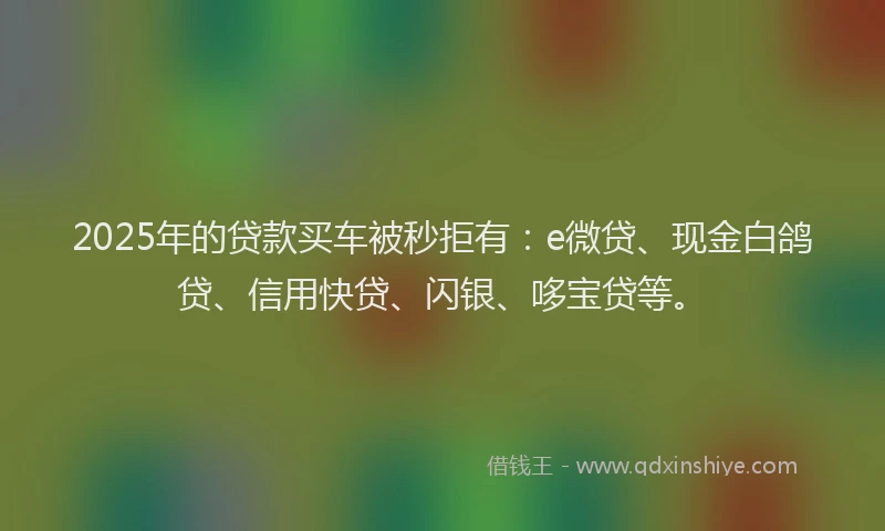 2025年的贷款买车被秒拒有：e微贷、现金白鸽贷、信用快贷、闪银、哆宝贷等。