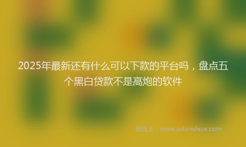 2025年最新还有什么可以下款的平台吗，盘点五个黑白贷款不是高炮的软件