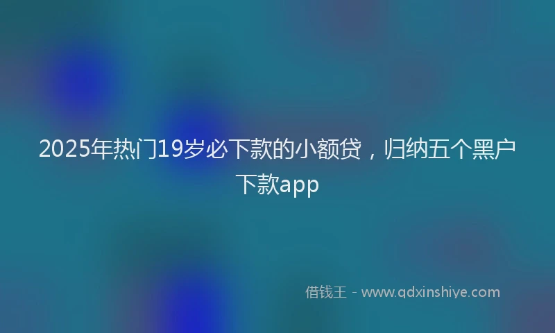 2025年热门19岁必下款的小额贷，归纳五个黑户下款app