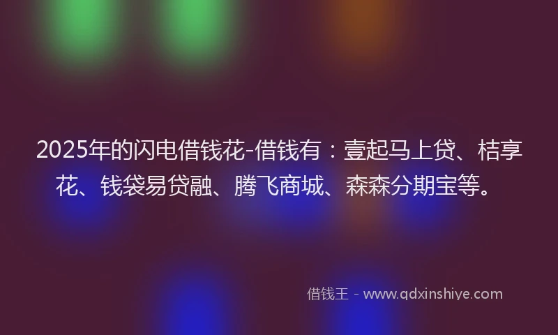 2025年的闪电借钱花-借钱有：壹起马上贷、桔享花、钱袋易贷融、腾飞商城、森森分期宝等。