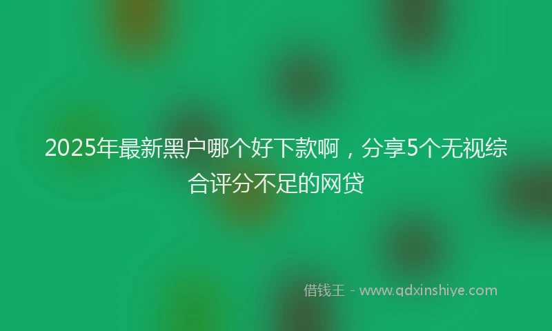 2025年最新黑户哪个好下款啊，分享5个无视综合评分不足的网贷