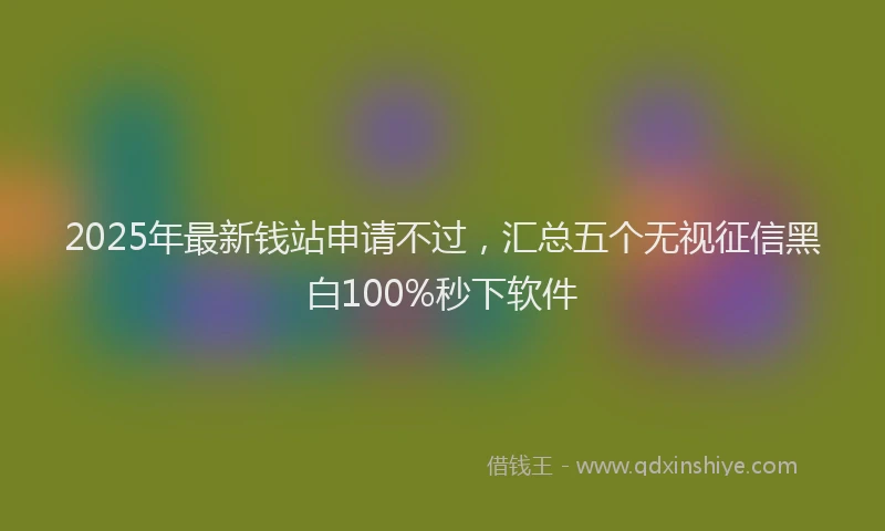 2025年最新钱站申请不过，汇总五个无视征信黑白100%秒下软件