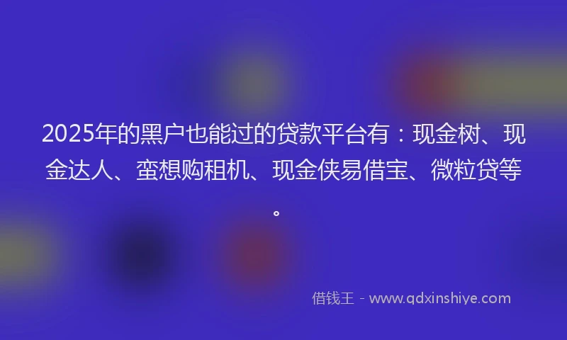 2025年的黑户也能过的贷款平台有：现金树、现金达人、蛮想购租机、现金侠易借宝、微粒贷等。