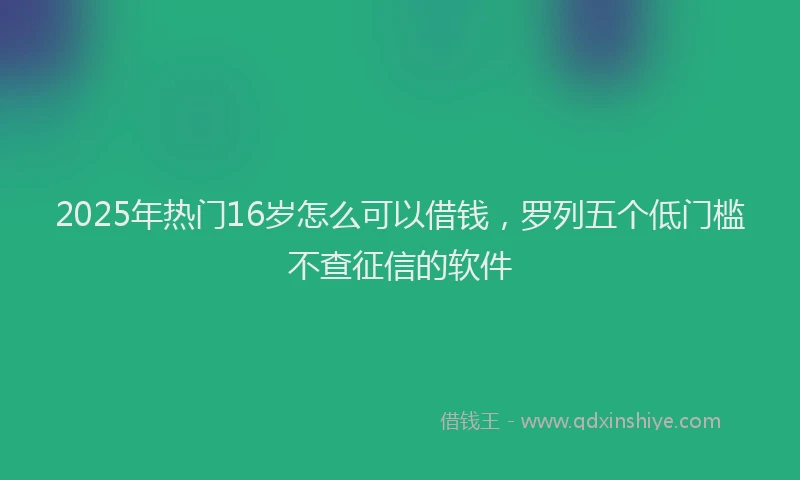 2025年热门16岁怎么可以借钱，罗列五个低门槛不查征信的软件