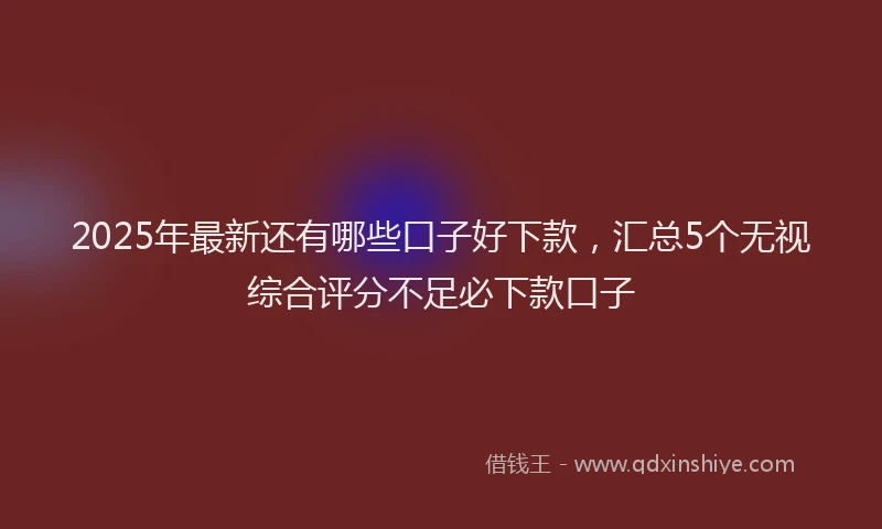 2025年最新还有哪些口子好下款，汇总5个无视综合评分不足必下款口子