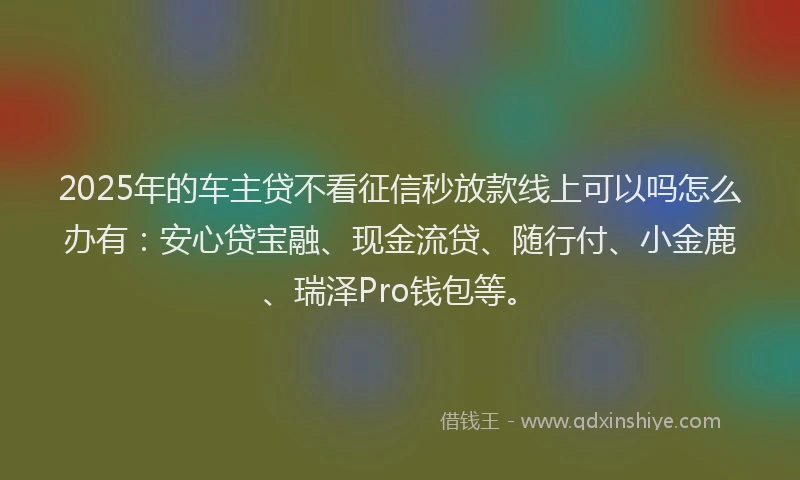 2025年的车主贷不看征信秒放款线上可以吗怎么办有：安心贷宝融、现金流贷、随行付、小金鹿、瑞泽Pro钱包等。
