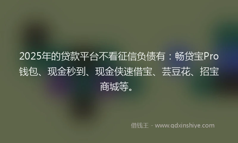 2025年的贷款平台不看征信负债有：畅贷宝Pro钱包、现金秒到、现金侠速借宝、芸豆花、招宝商城等。