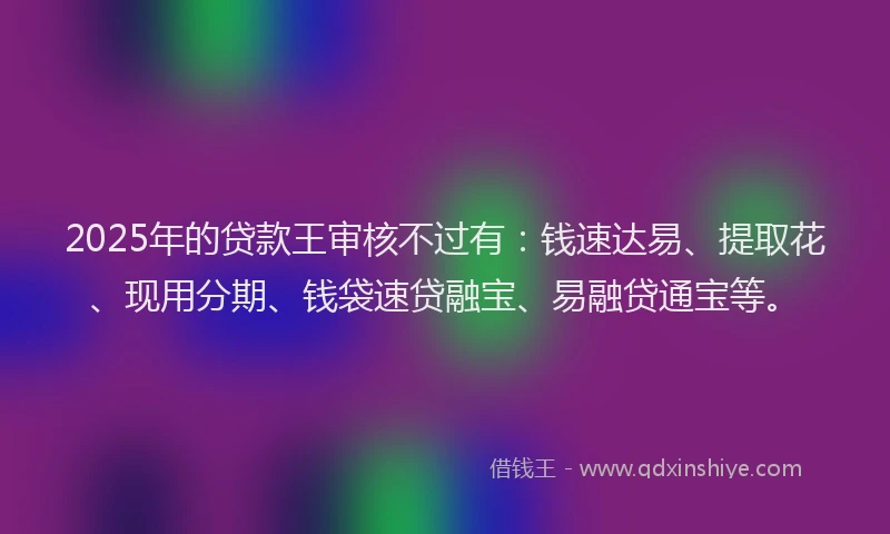2025年的贷款王审核不过有：钱速达易、提取花、现用分期、钱袋速贷融宝、易融贷通宝等。