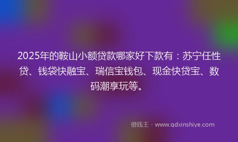 2025年的鞍山小额贷款哪家好下款有：苏宁任性贷、钱袋快融宝、瑞信宝钱包、现金快贷宝、数码潮享玩等。