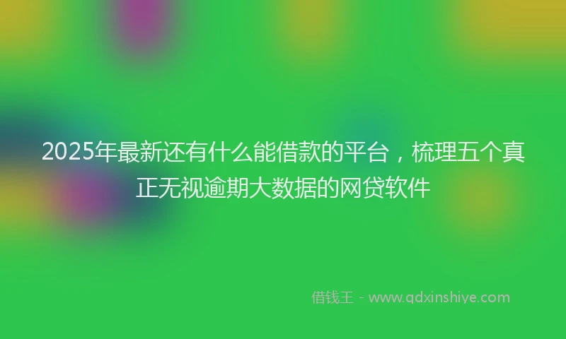 2025年最新还有什么能借款的平台，梳理五个真正无视逾期大数据的网贷软件