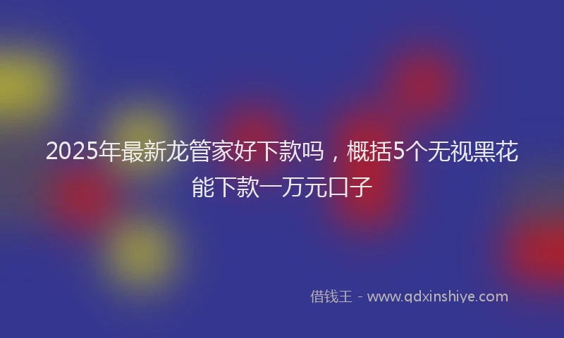2025年最新龙管家好下款吗，概括5个无视黑花能下款一万元口子