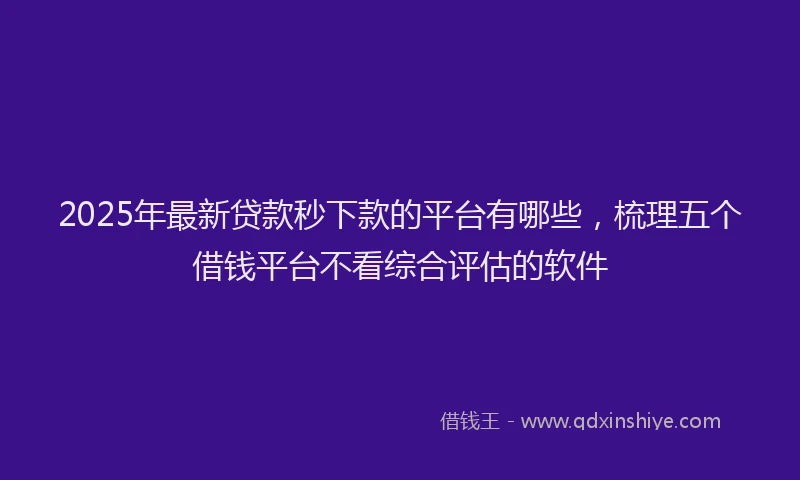 2025年最新贷款秒下款的平台有哪些，梳理五个借钱平台不看综合评估的软件