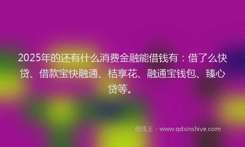 2025年的还有什么消费金融能借钱有：借了么快贷、借款宝快融通、桔享花、融通宝钱包、臻心贷等。