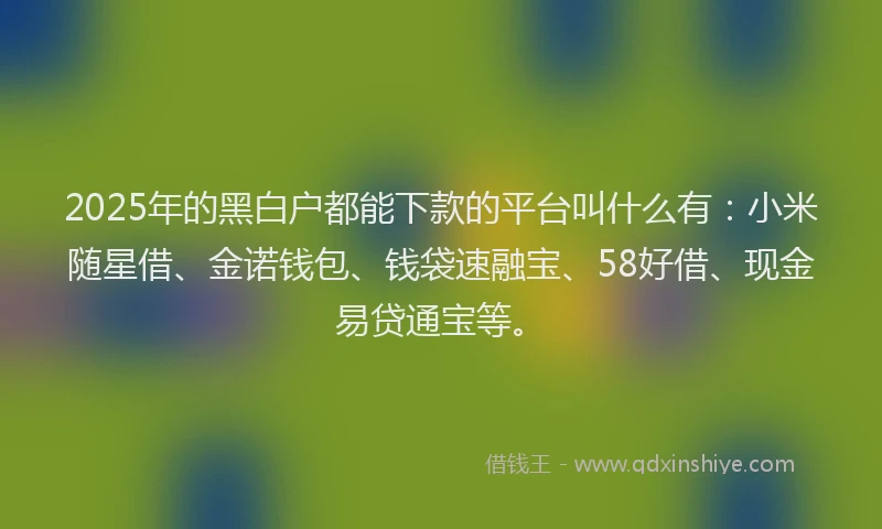 2025年的黑白户都能下款的平台叫什么有：小米随星借、金诺钱包、钱袋速融宝、58好借、现金易贷通宝等。