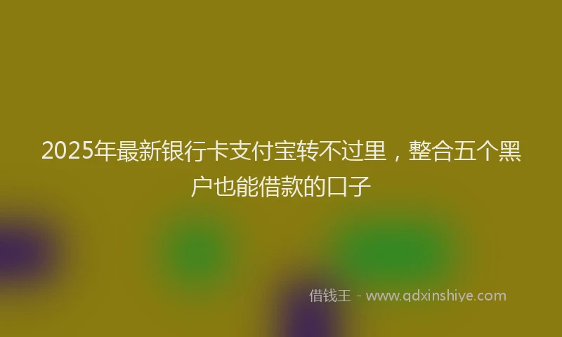 2025年最新银行卡支付宝转不过里，整合五个黑户也能借款的口子