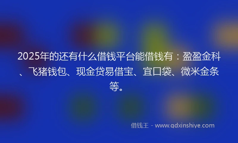 2025年的还有什么借钱平台能借钱有：盈盈金科、飞猪钱包、现金贷易借宝、宜口袋、微米金条等。