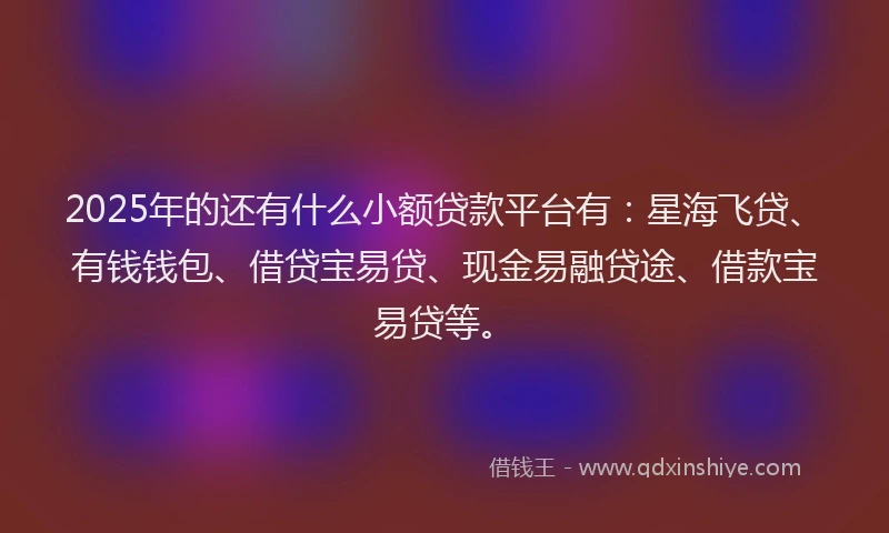 2025年的还有什么小额贷款平台有：星海飞贷、有钱钱包、借贷宝易贷、现金易融贷途、借款宝易贷等。