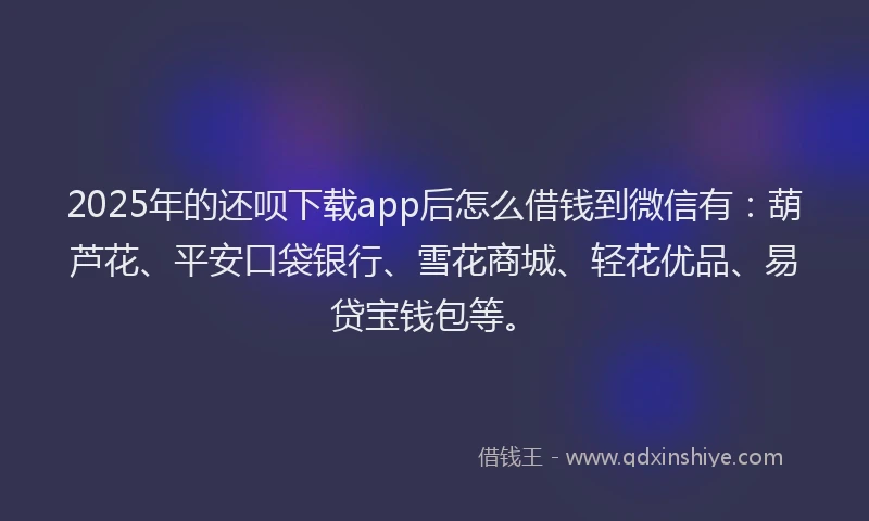 2025年的还呗下载app后怎么借钱到微信有：葫芦花、平安口袋银行、雪花商城、轻花优品、易贷宝钱包等。
