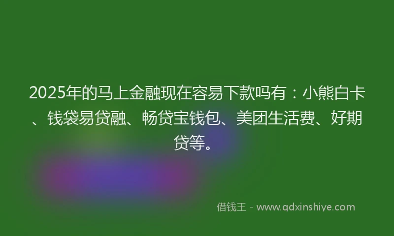 2025年的马上金融现在容易下款吗有：小熊白卡、钱袋易贷融、畅贷宝钱包、美团生活费、好期贷等。