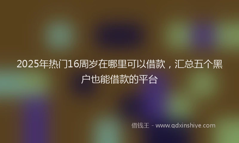 2025年热门16周岁在哪里可以借款，汇总五个黑户也能借款的平台