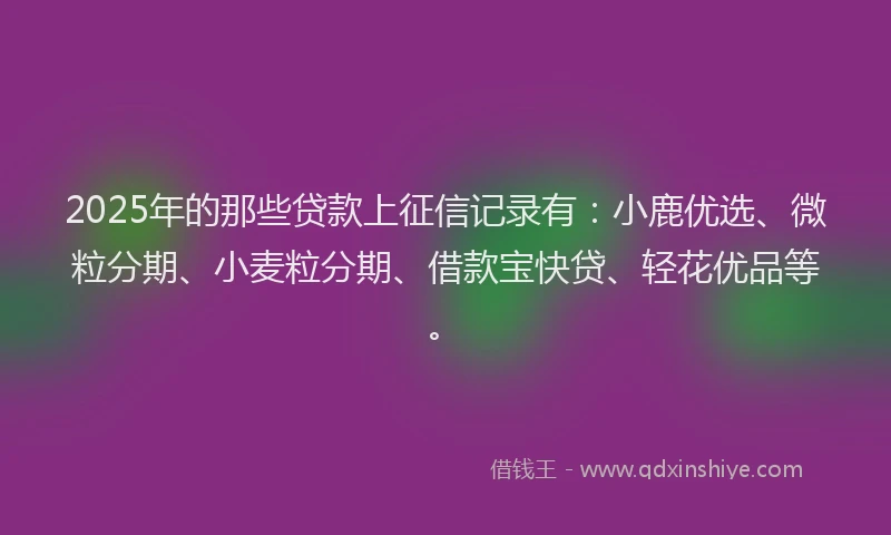 2025年的那些贷款上征信记录有：小鹿优选、微粒分期、小麦粒分期、借款宝快贷、轻花优品等。