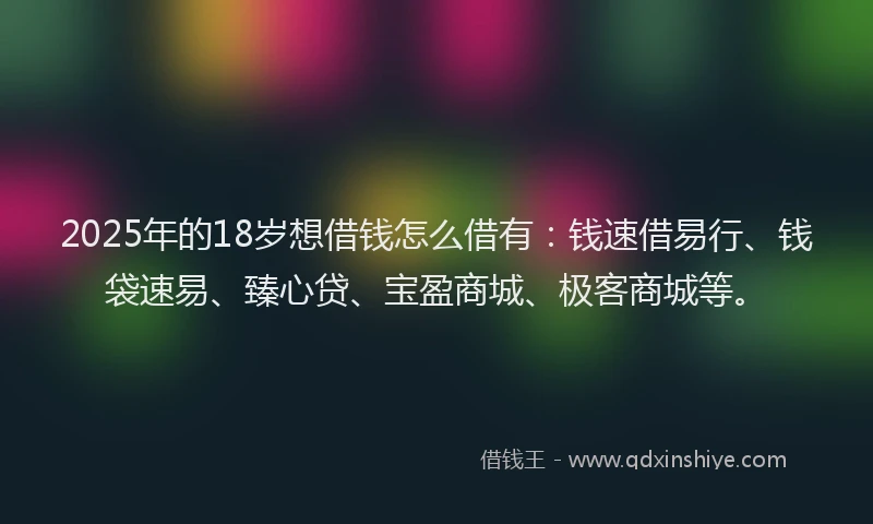 2025年的18岁想借钱怎么借有：钱速借易行、钱袋速易、臻心贷、宝盈商城、极客商城等。