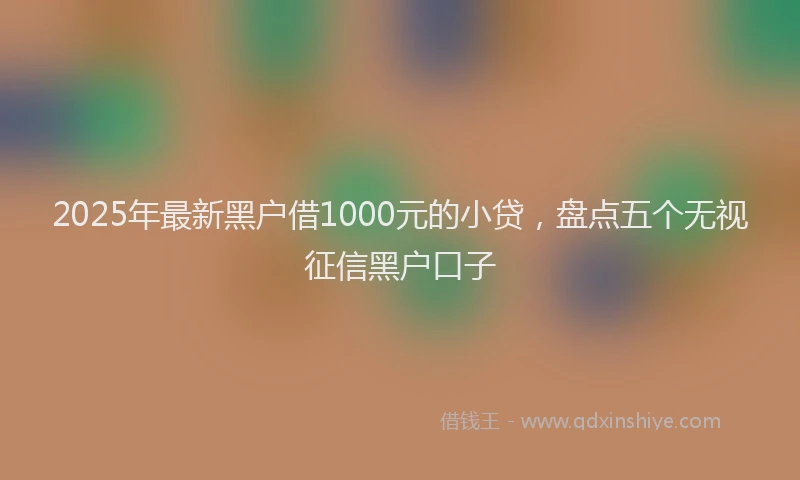 2025年最新黑户借1000元的小贷，盘点五个无视征信黑户口子