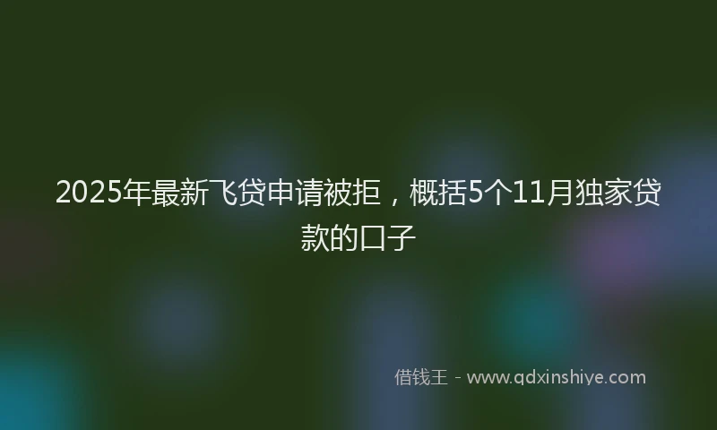 2025年最新飞贷申请被拒，概括5个11月独家贷款的口子