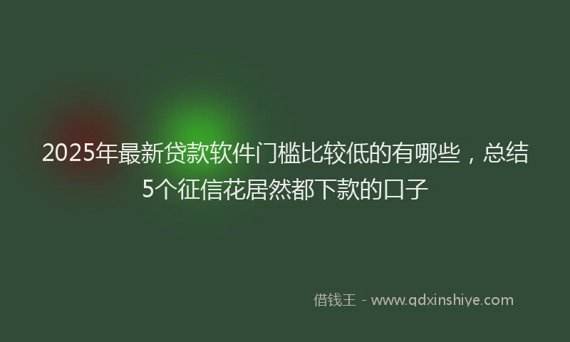 2025年最新贷款软件门槛比较低的有哪些，总结5个征信花居然都下款的口子