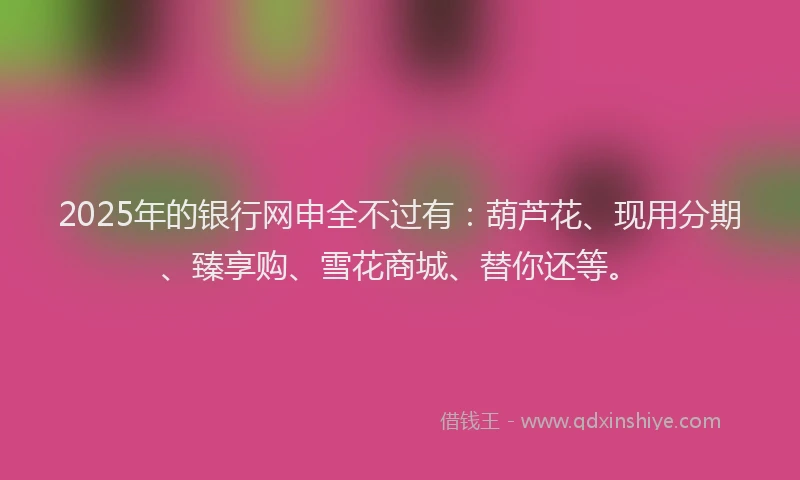 2025年的银行网申全不过有：葫芦花、现用分期、臻享购、雪花商城、替你还等。