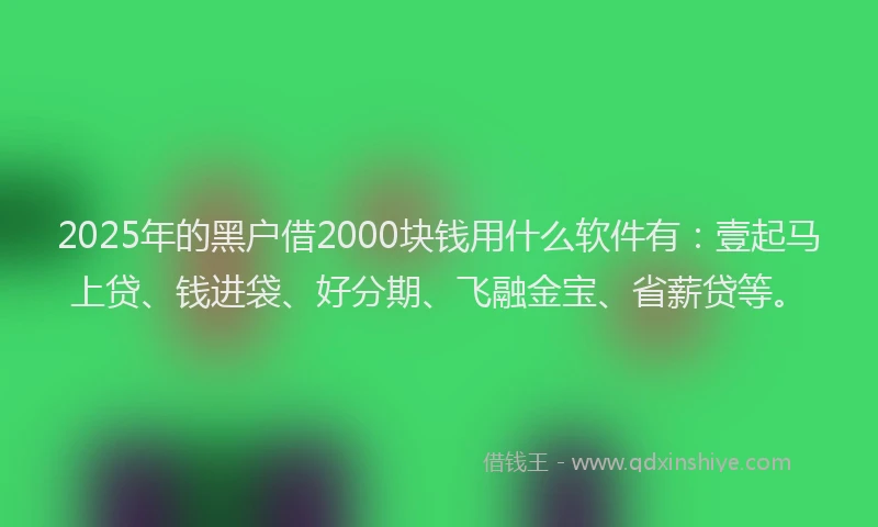 2025年的黑户借2000块钱用什么软件有：壹起马上贷、钱进袋、好分期、飞融金宝、省薪贷等。