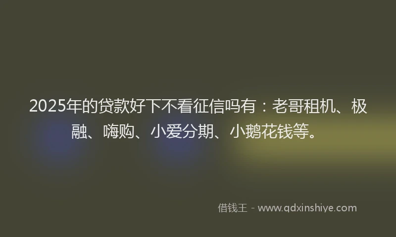 2025年的贷款好下不看征信吗有：老哥租机、极融、嗨购、小爱分期、小鹅花钱等。