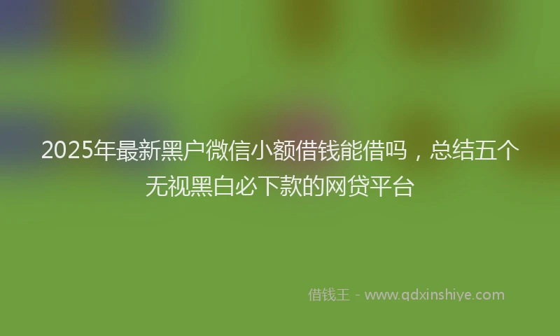 2025年最新黑户微信小额借钱能借吗，总结五个无视黑白必下款的网贷平台