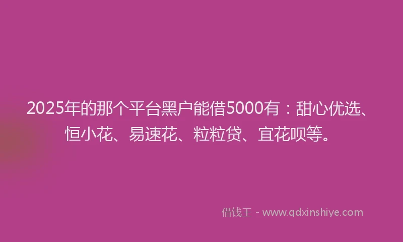 2025年的那个平台黑户能借5000有：甜心优选、恒小花、易速花、粒粒贷、宜花呗等。