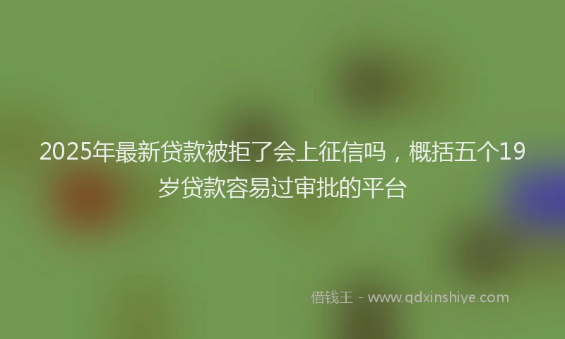 2025年最新贷款被拒了会上征信吗，概括五个19岁贷款容易过审批的平台