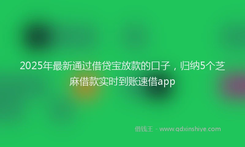 2025年最新通过借贷宝放款的口子，归纳5个芝麻借款实时到账速借app