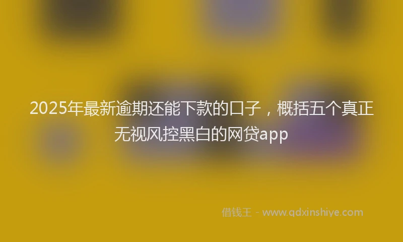 2025年最新逾期还能下款的口子，概括五个真正无视风控黑白的网贷app